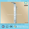 Hot Sell in China Zinc Alloy Shower Panel (BLS-3808)
